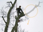 kaceni-stromu-horolezeckou-technikou-rizikove-kaceni-stromu-brno | Kácení stromů